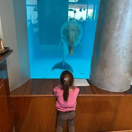 уют,спокойствие,сигурност на метри от плажа