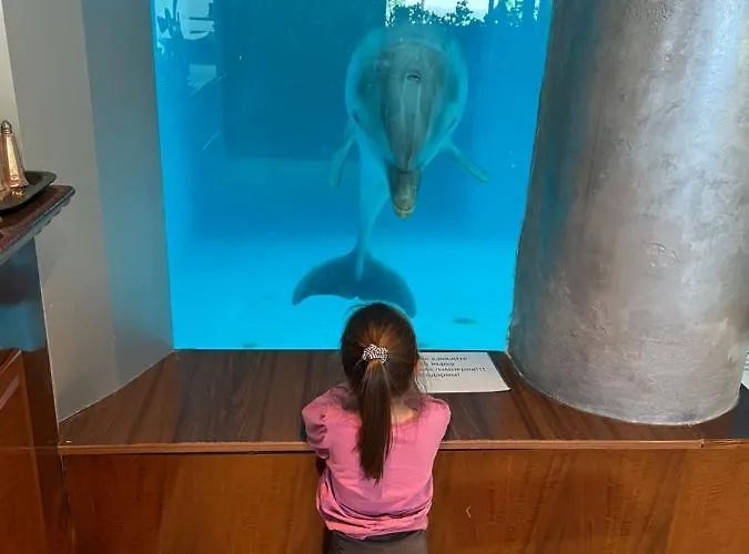 уют,спокойствие,сигурност на метри от плажа